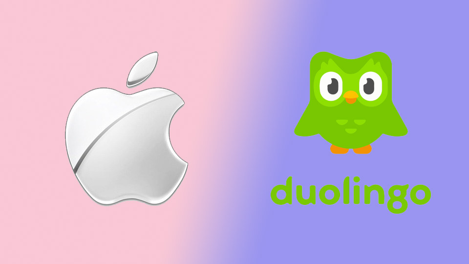 오늘의 인사이트 썸네일